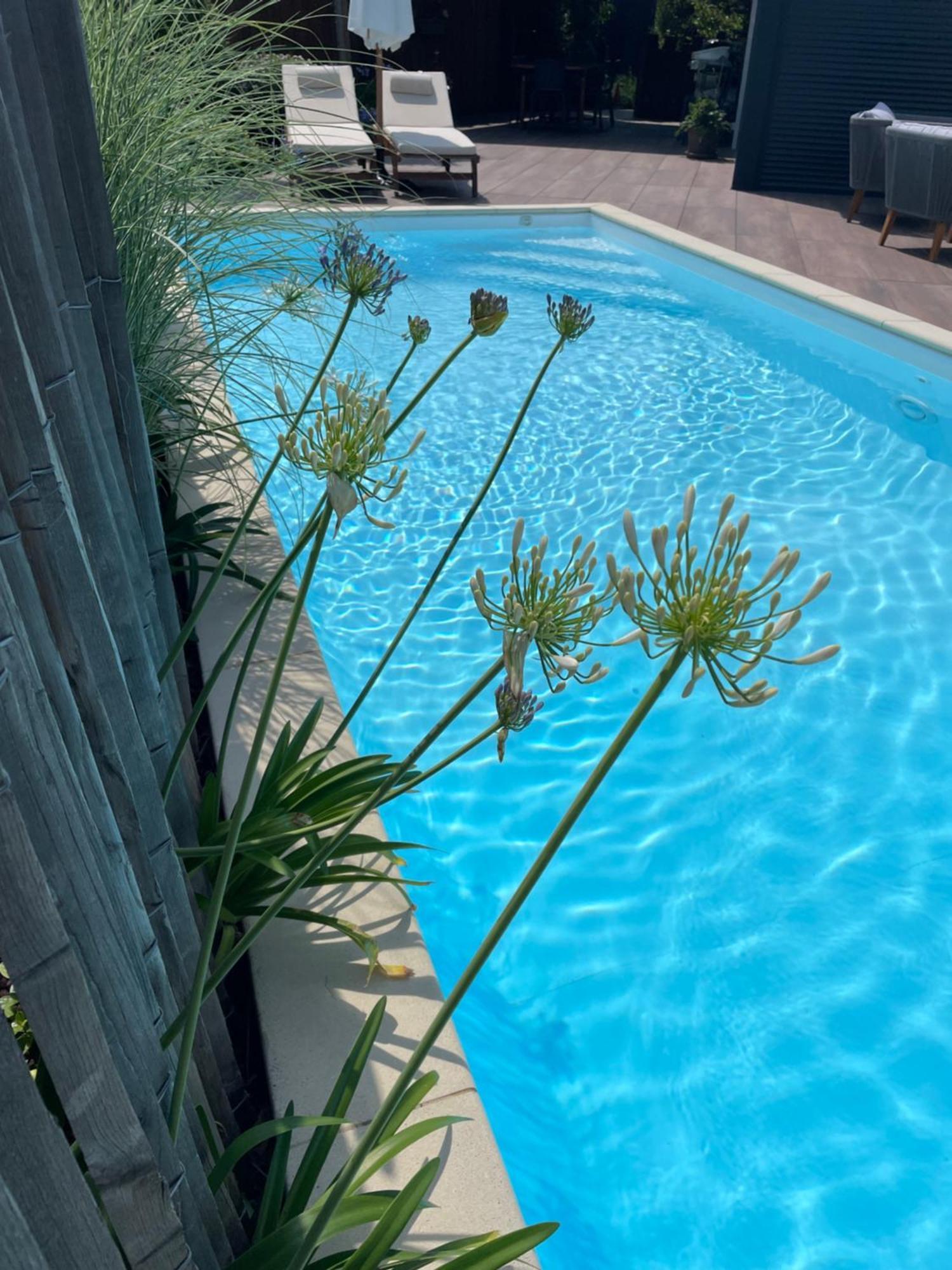 Villa Pierartlou Ares Bagian luar foto